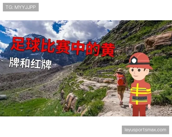禁赛规则详解：累计黄牌与红牌导致的停赛判罚标准